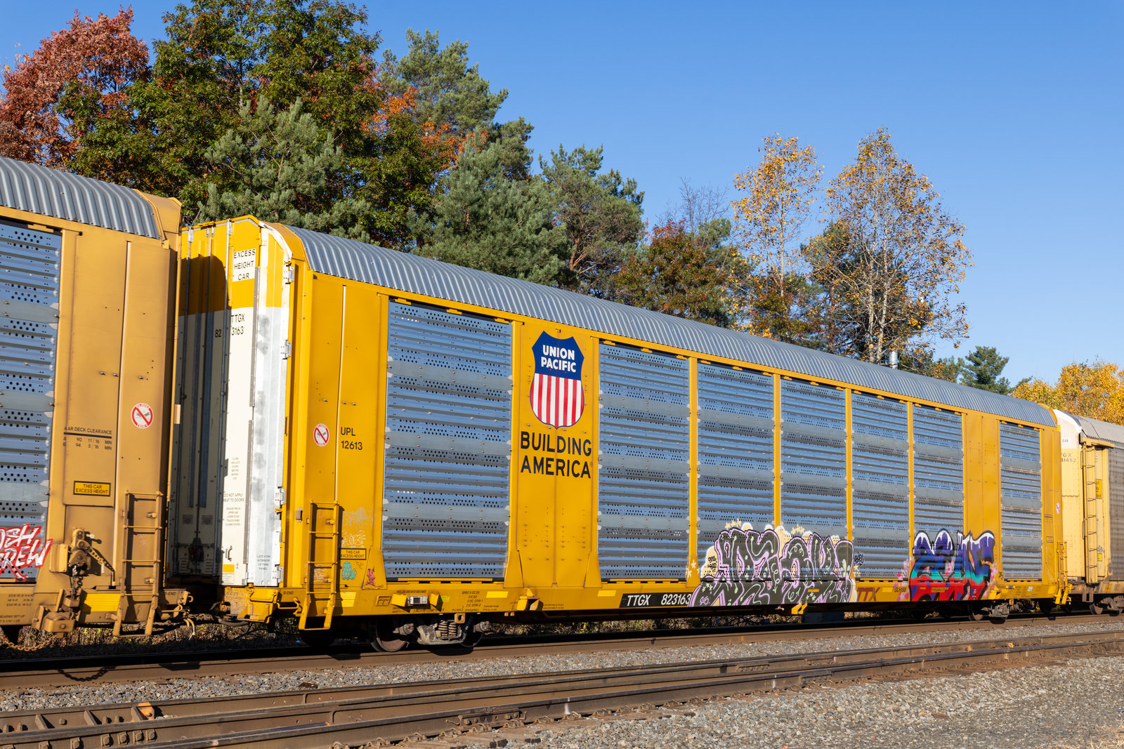 TTGX 823163