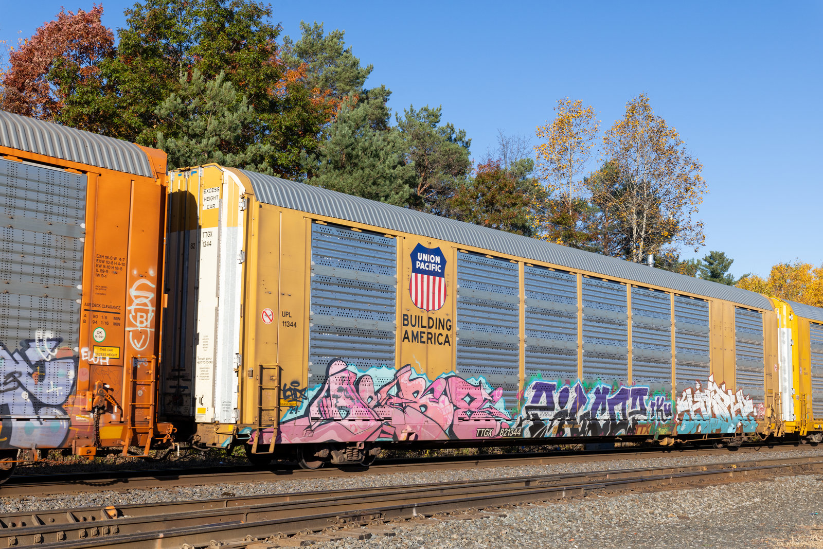 TTGX 821344