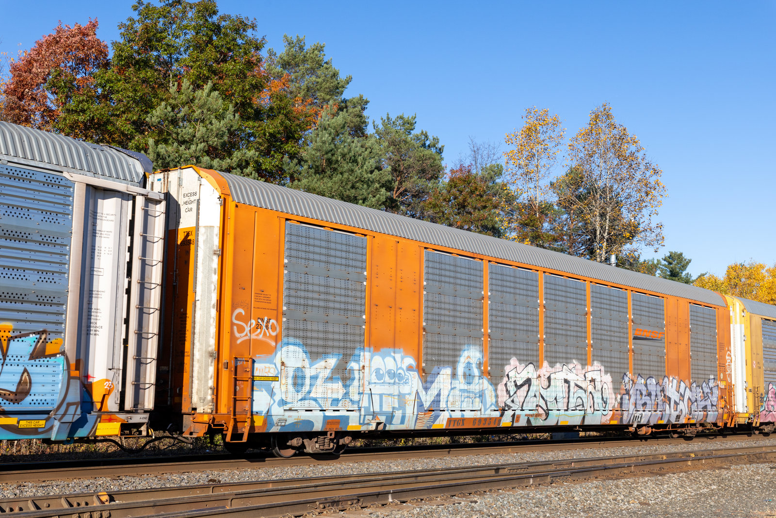 TTGX 693548