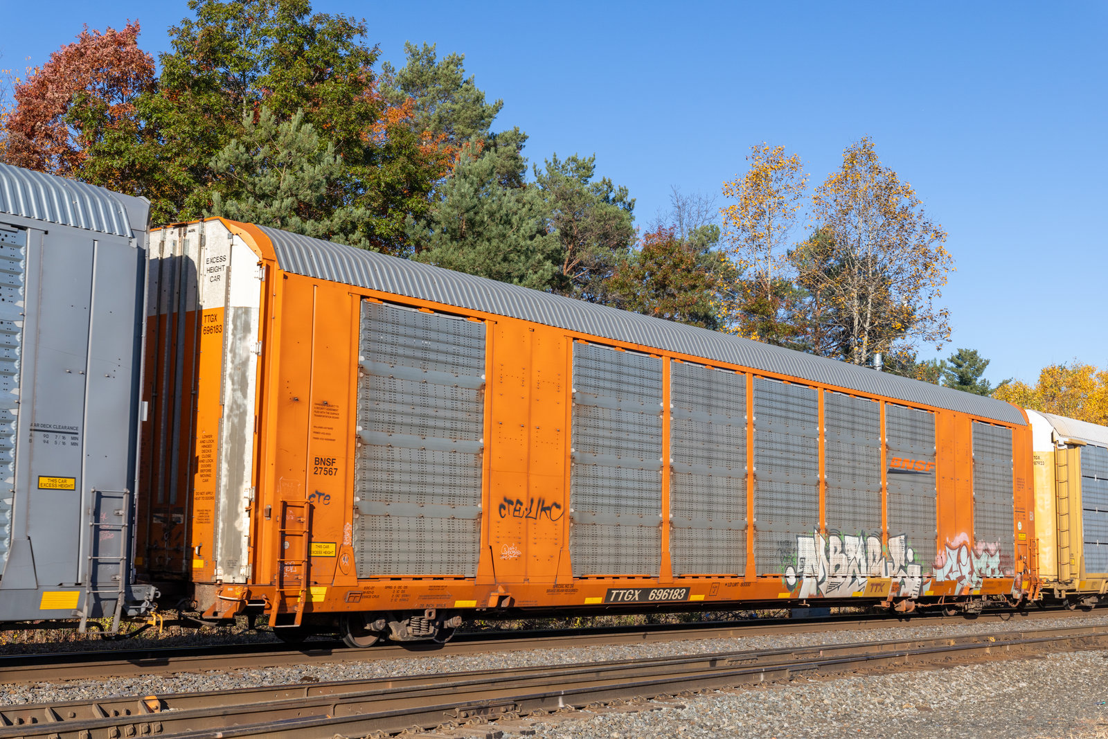 TTGX 696183
