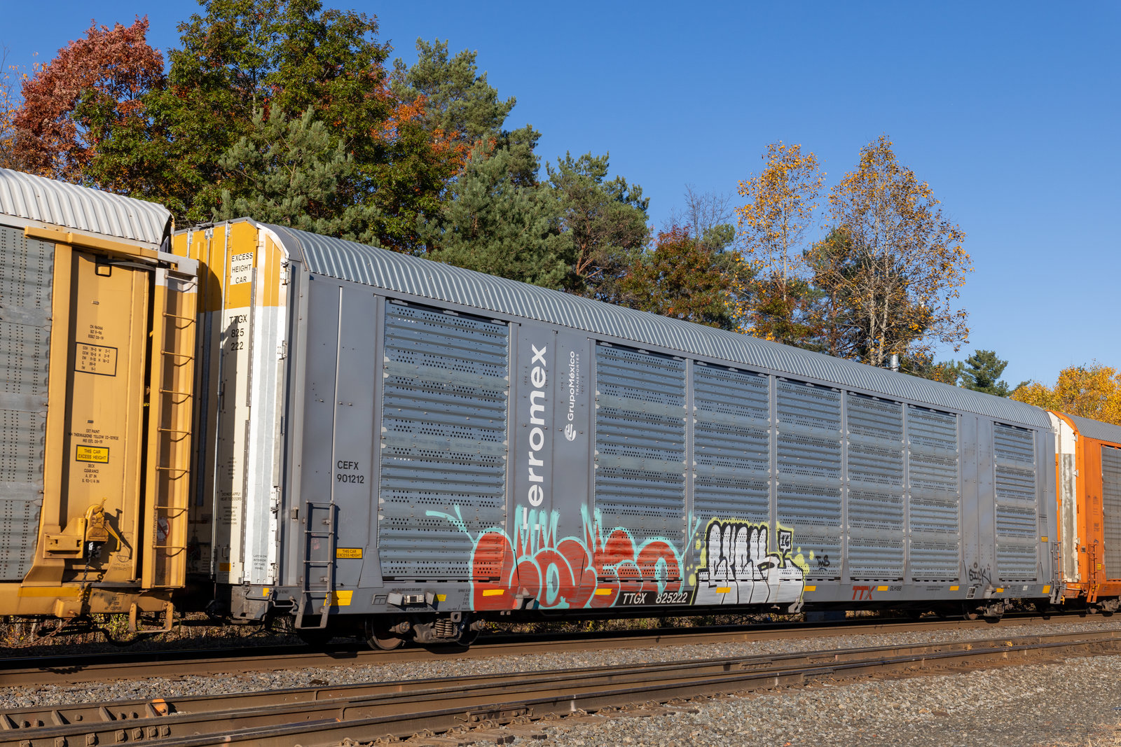 TTGX 825222