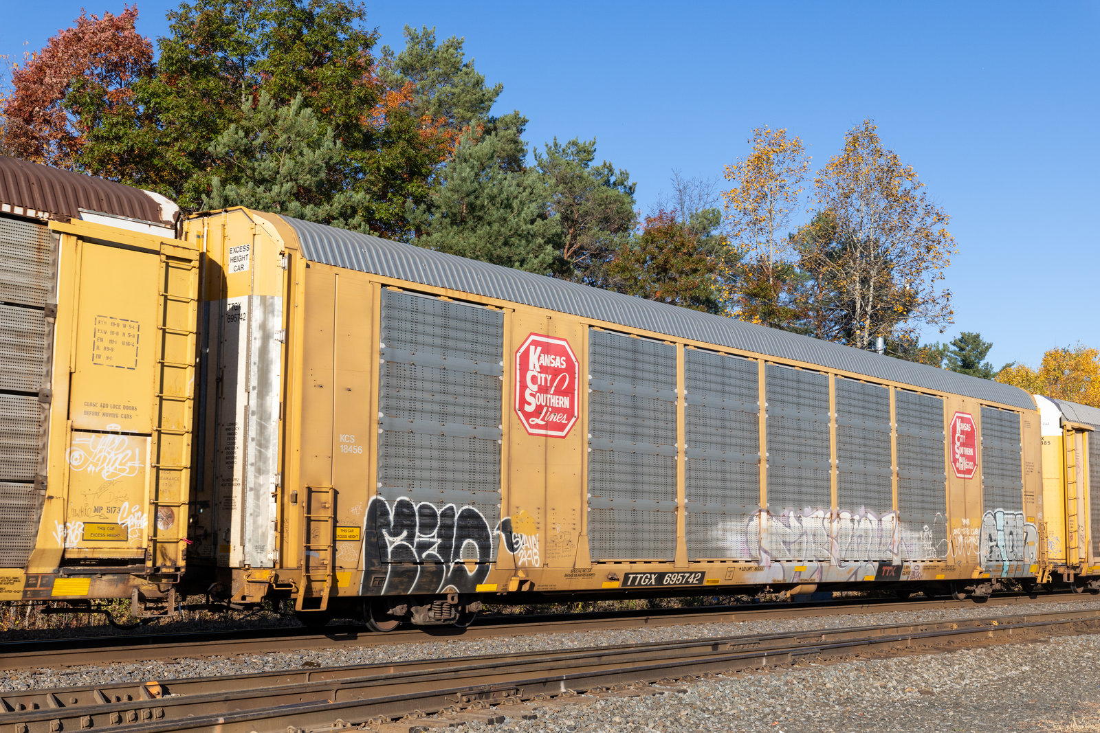 TTGX 695742