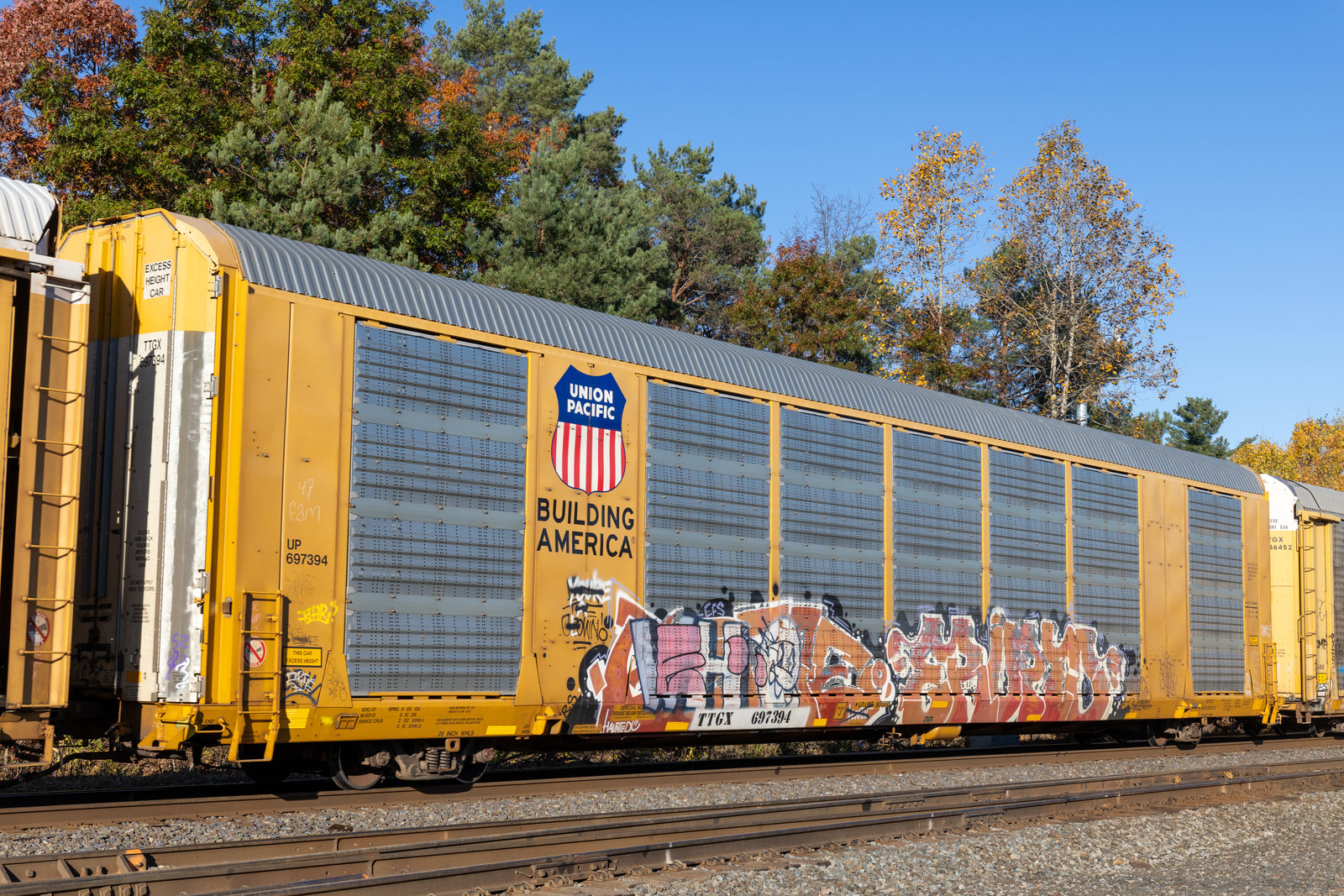 TTGX 697394