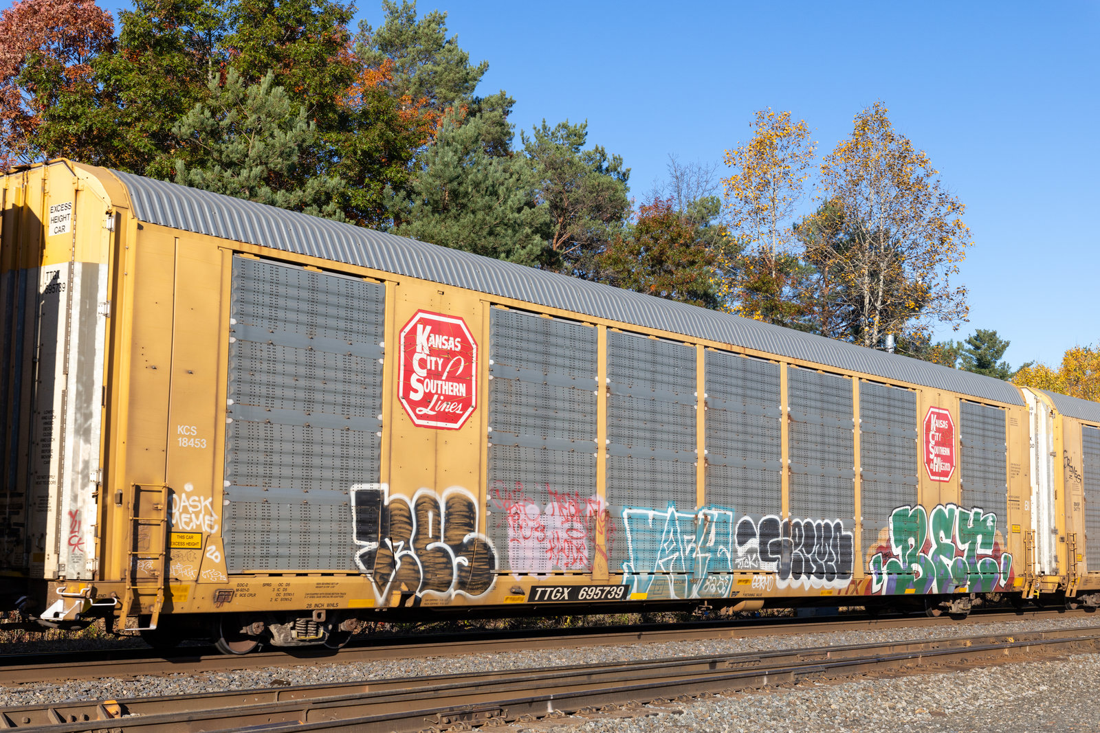 TTGX 695739