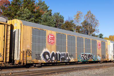 TTGX 695672