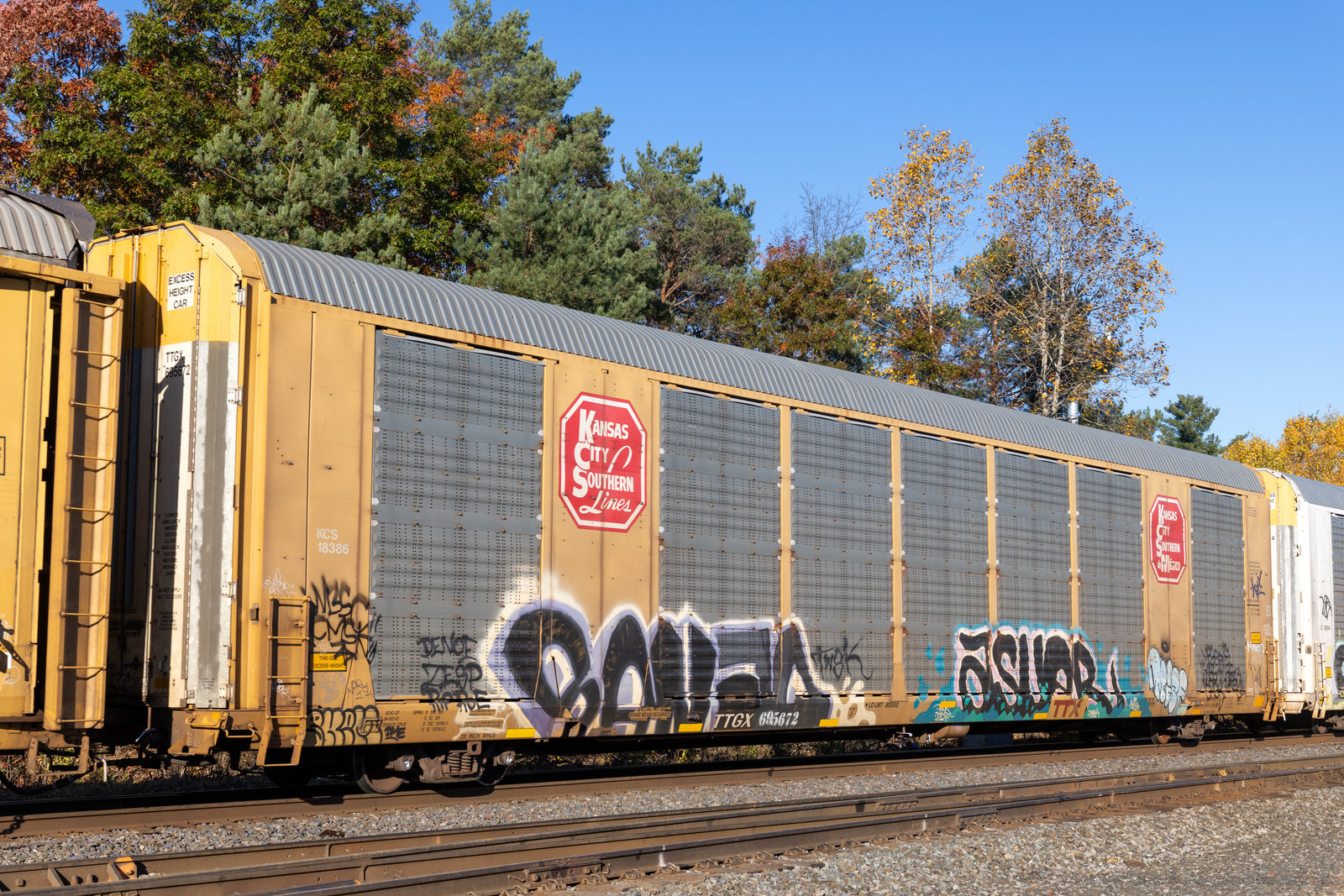 TTGX 695672