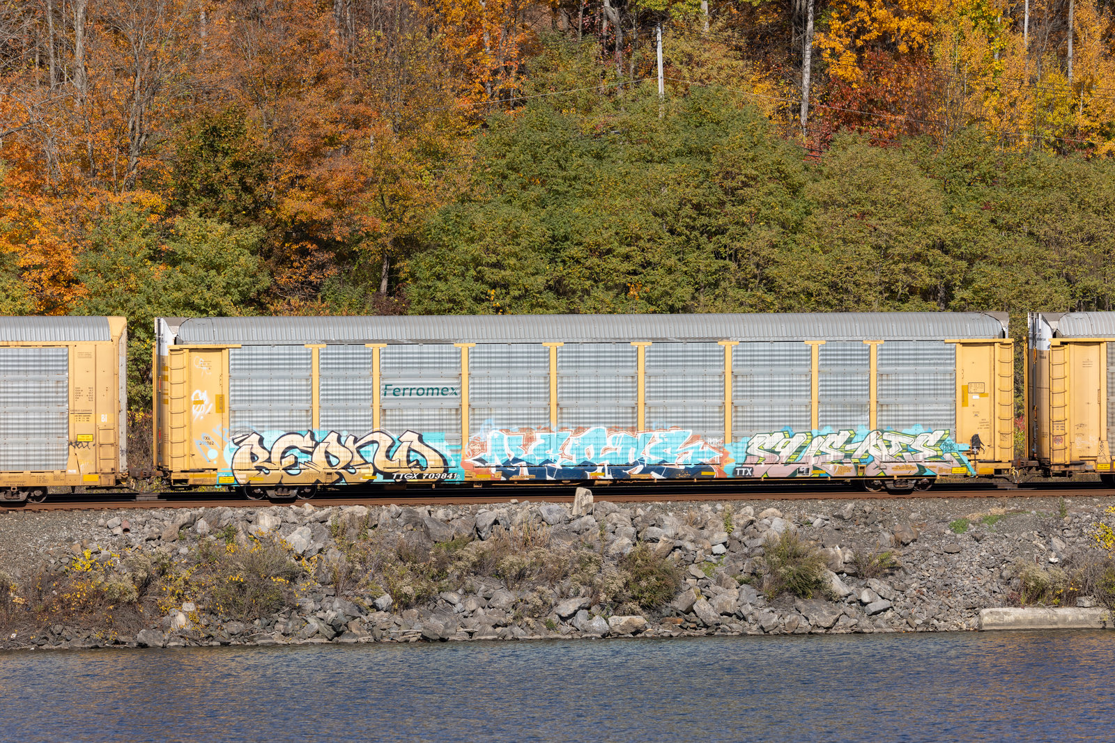 TTGX 703841