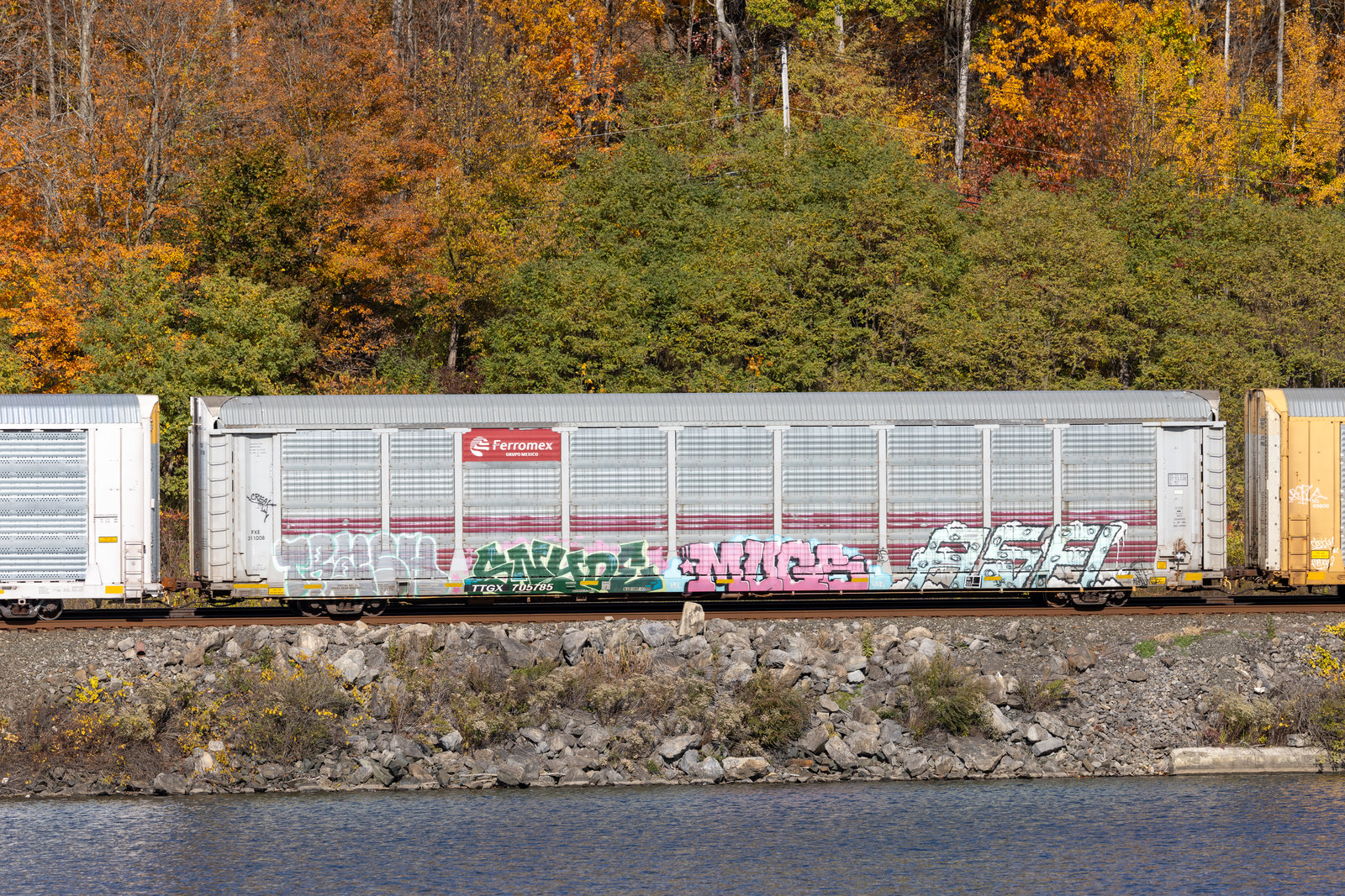 TTGX 705785