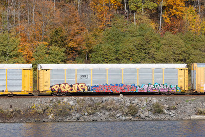 TTGX 992950
