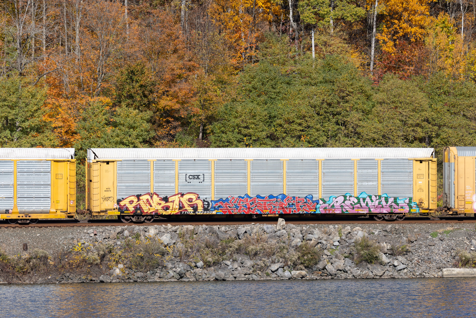TTGX 992950