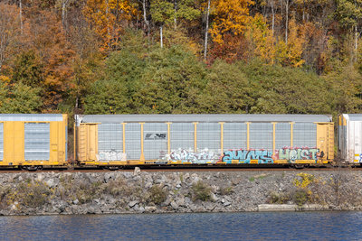 TTGX 704541