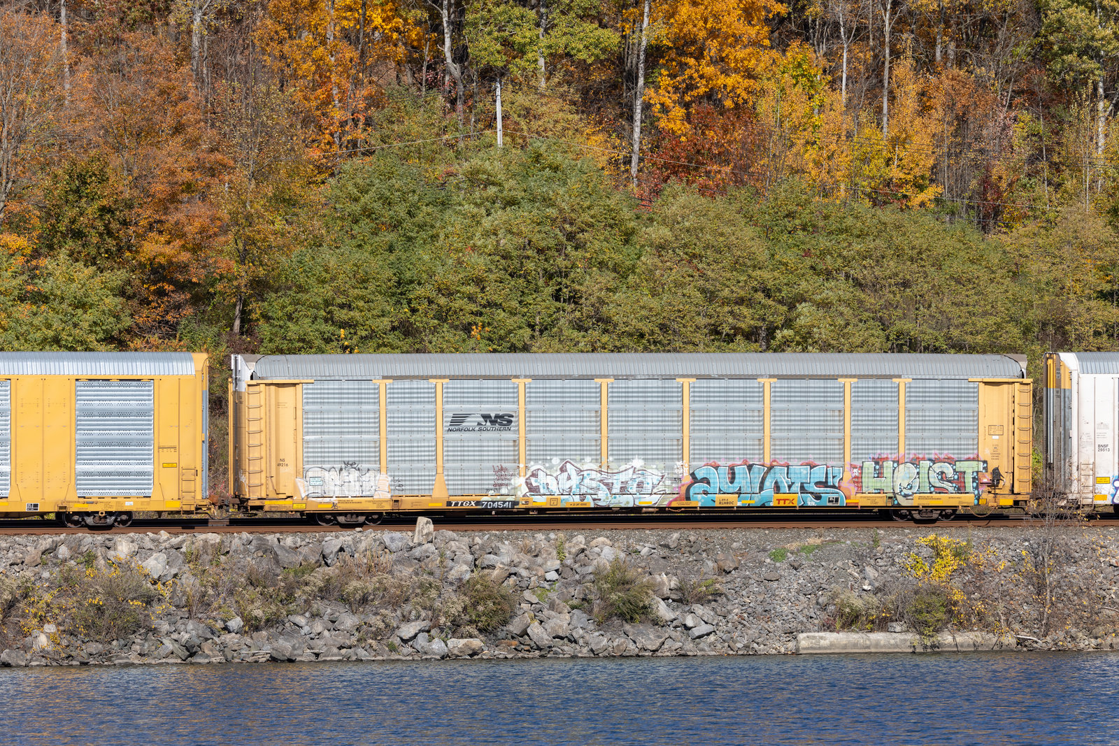 TTGX 704541