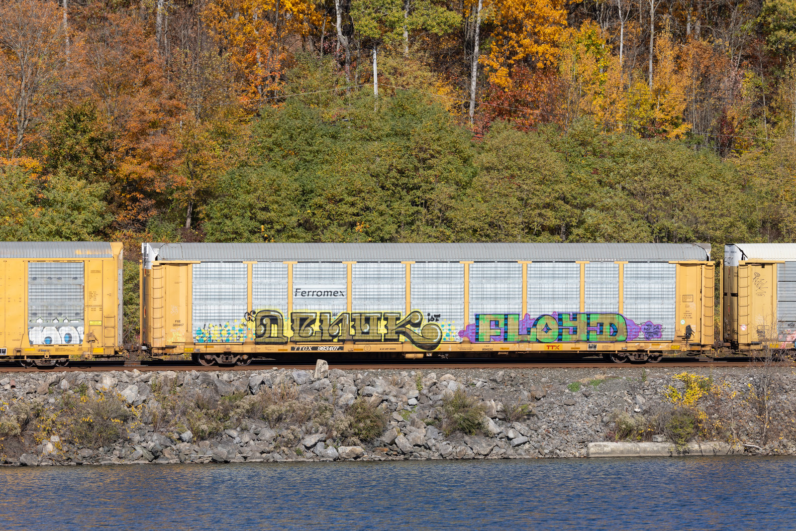 TTGX 983407