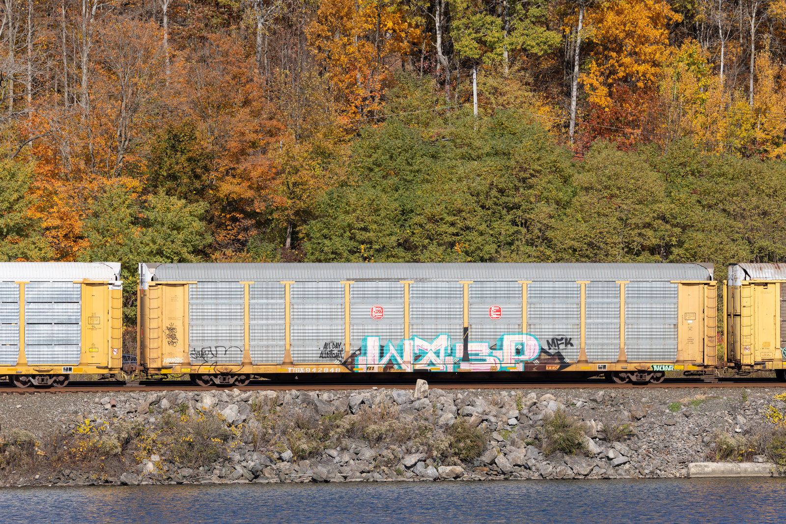 TTGX 942848