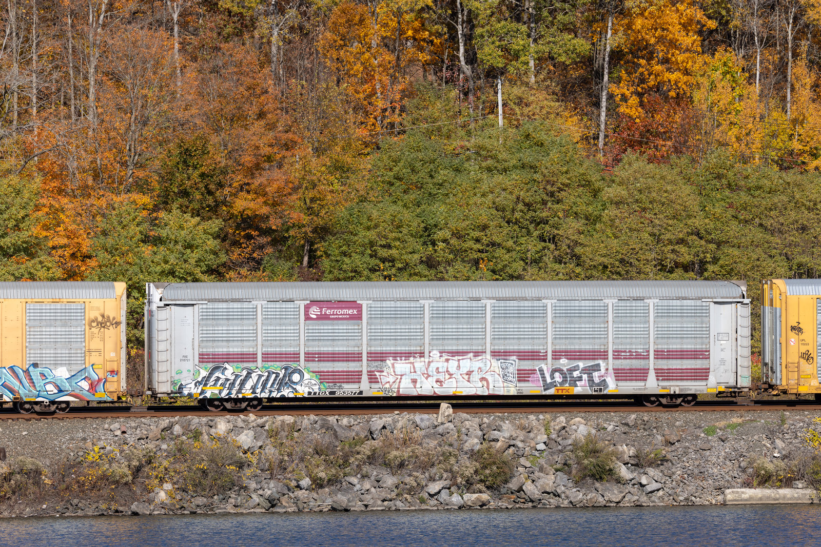 TTGX 953577
