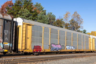 TTGX 702113