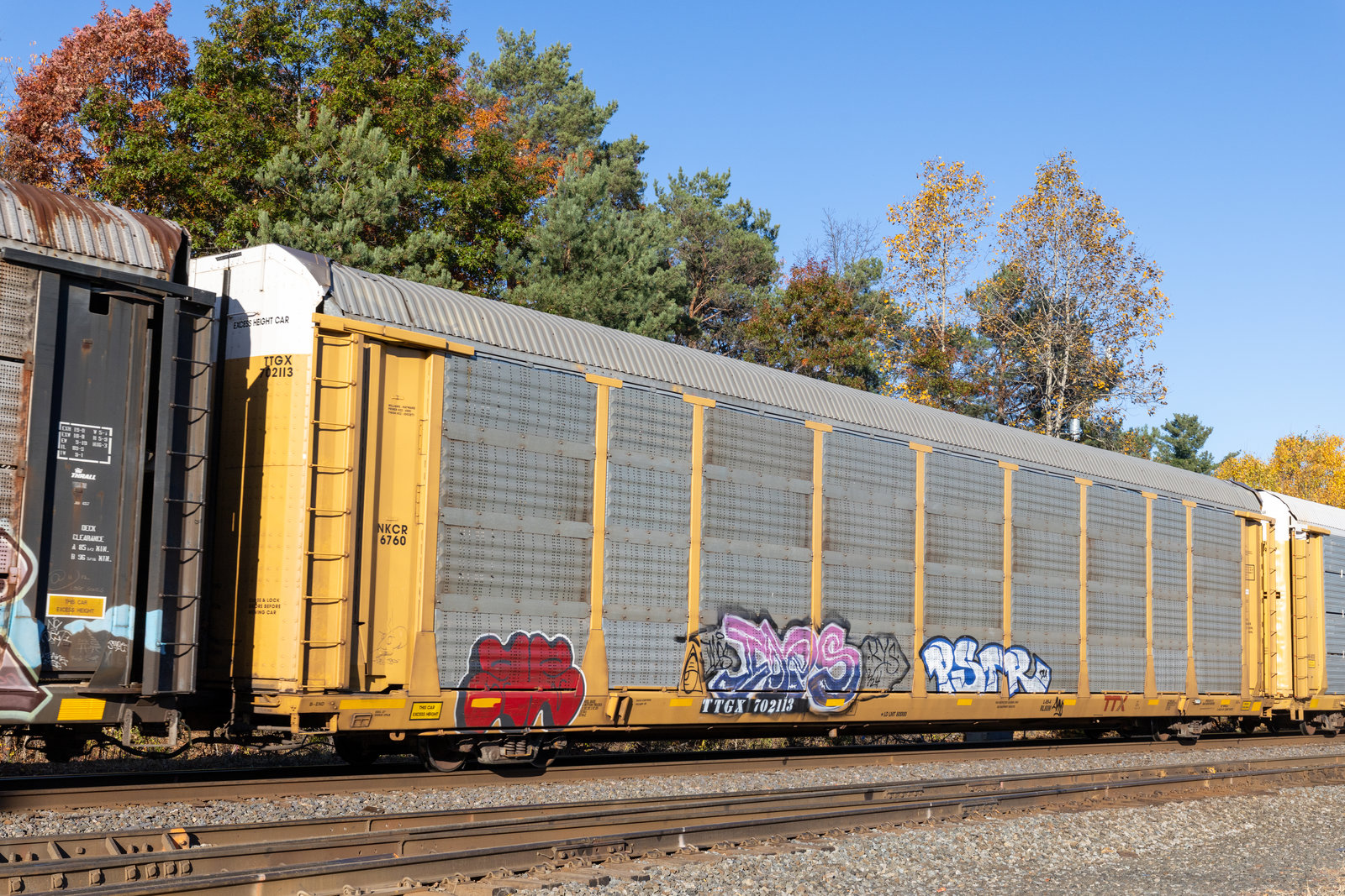 TTGX 702113