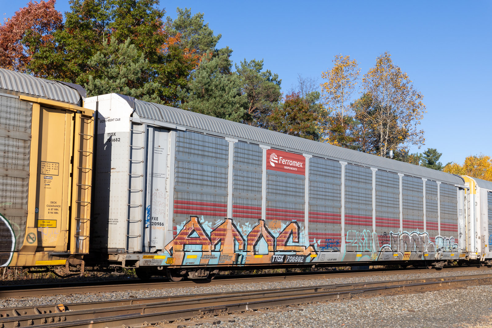 TTGX 706682