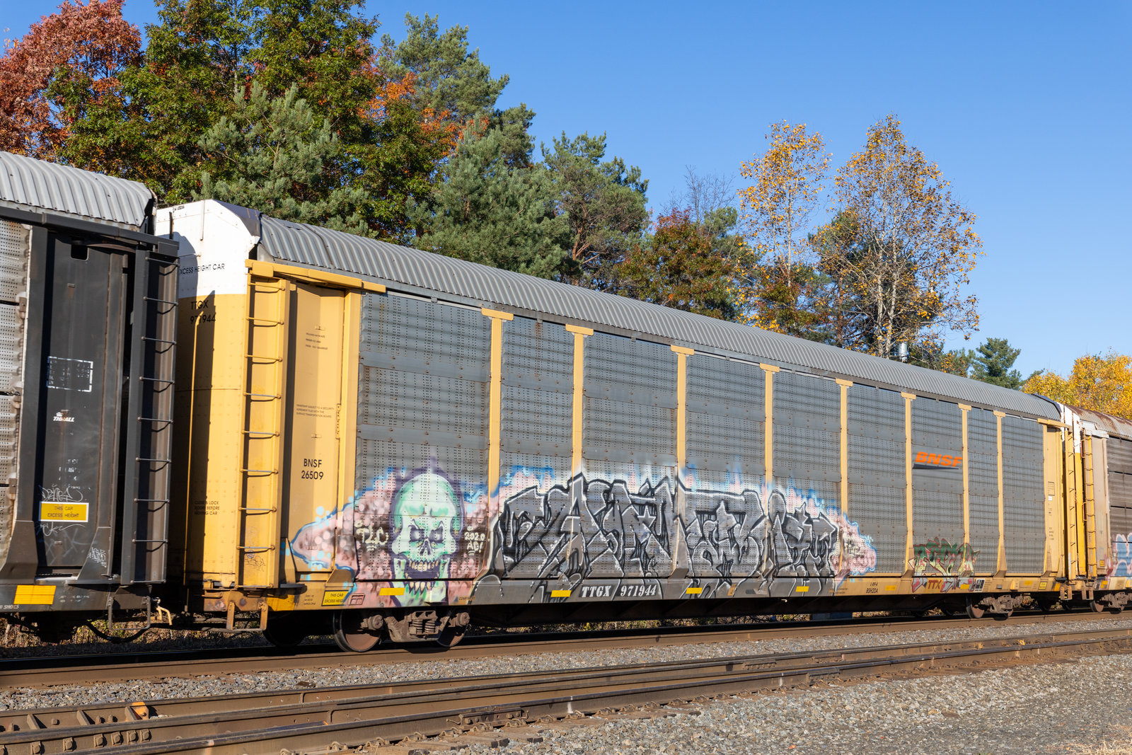 TTGX 971944