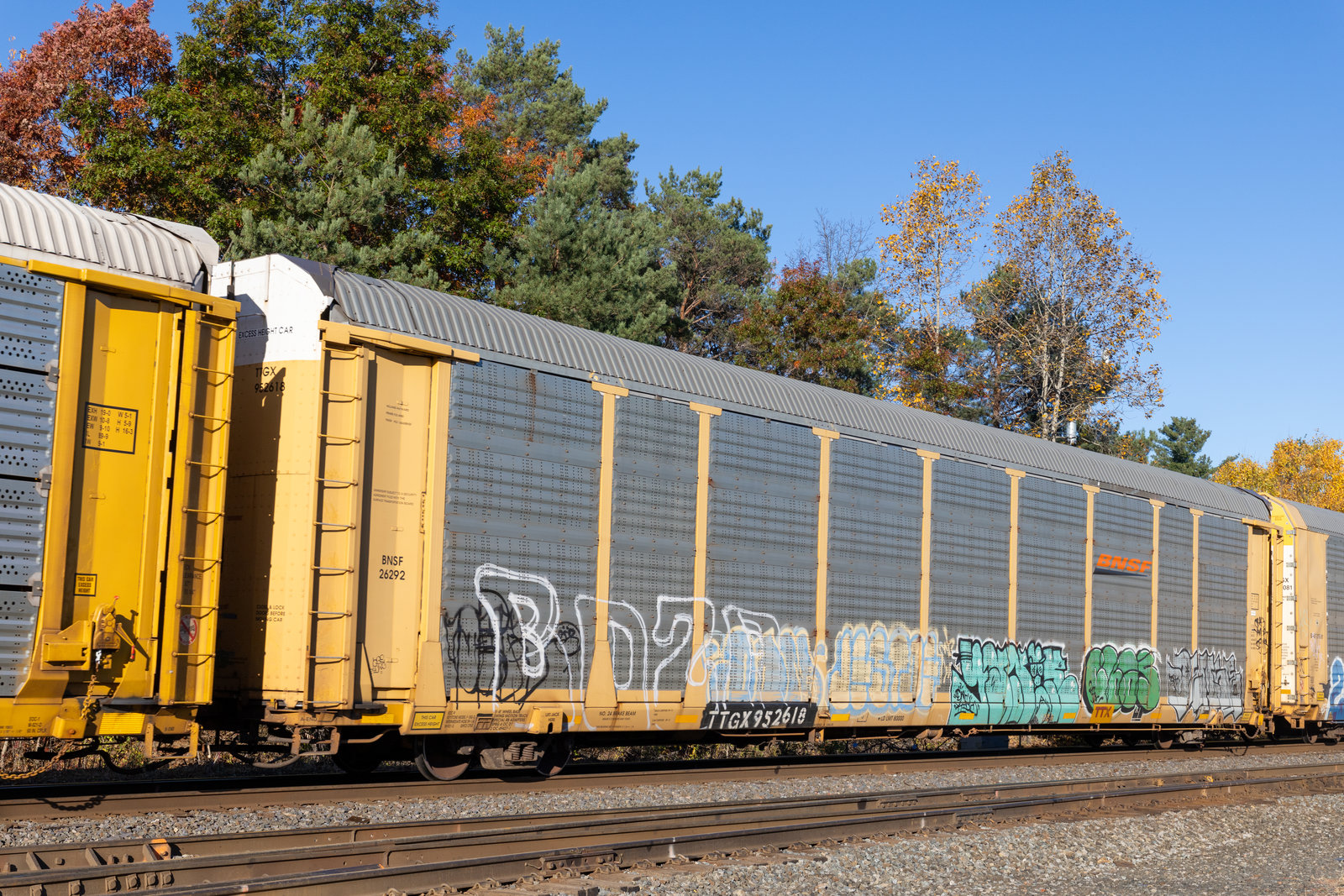 TTGX 952618