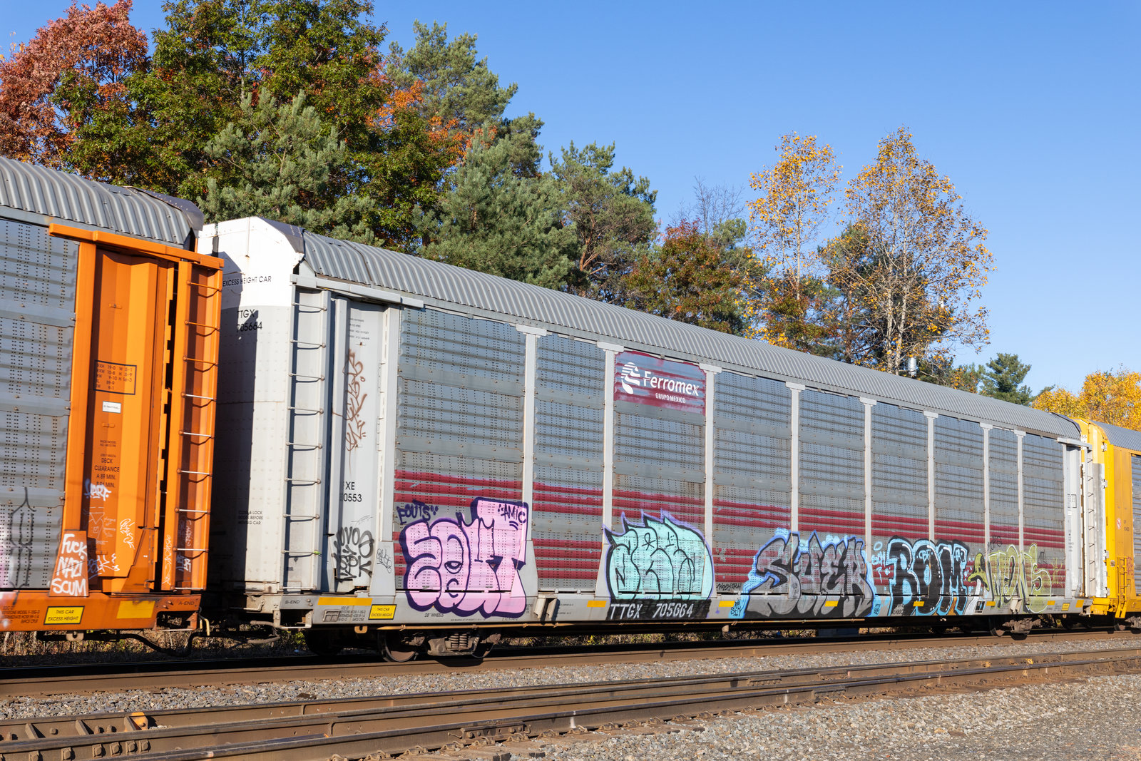 TTGX 705664