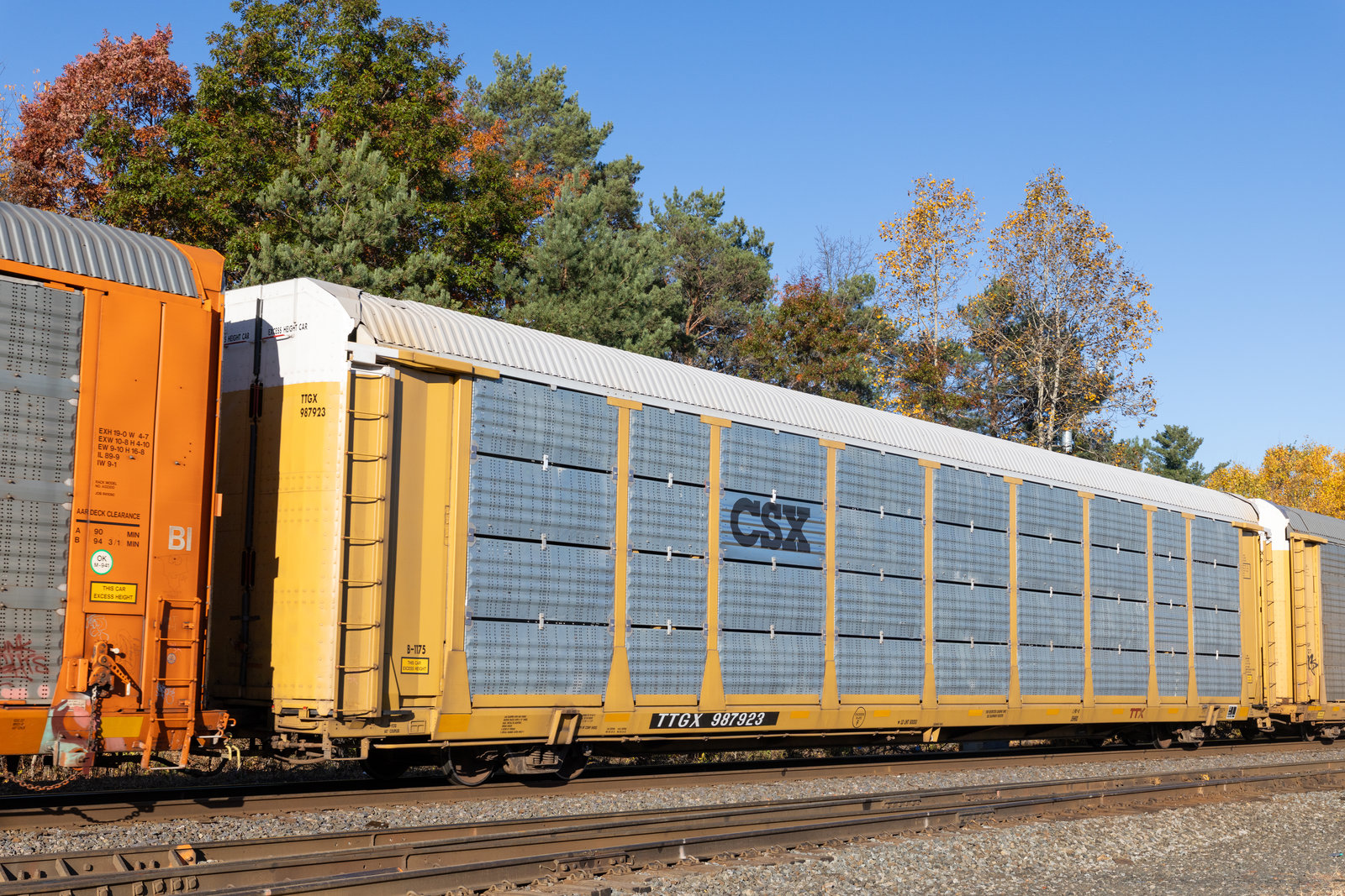 TTGX 987923