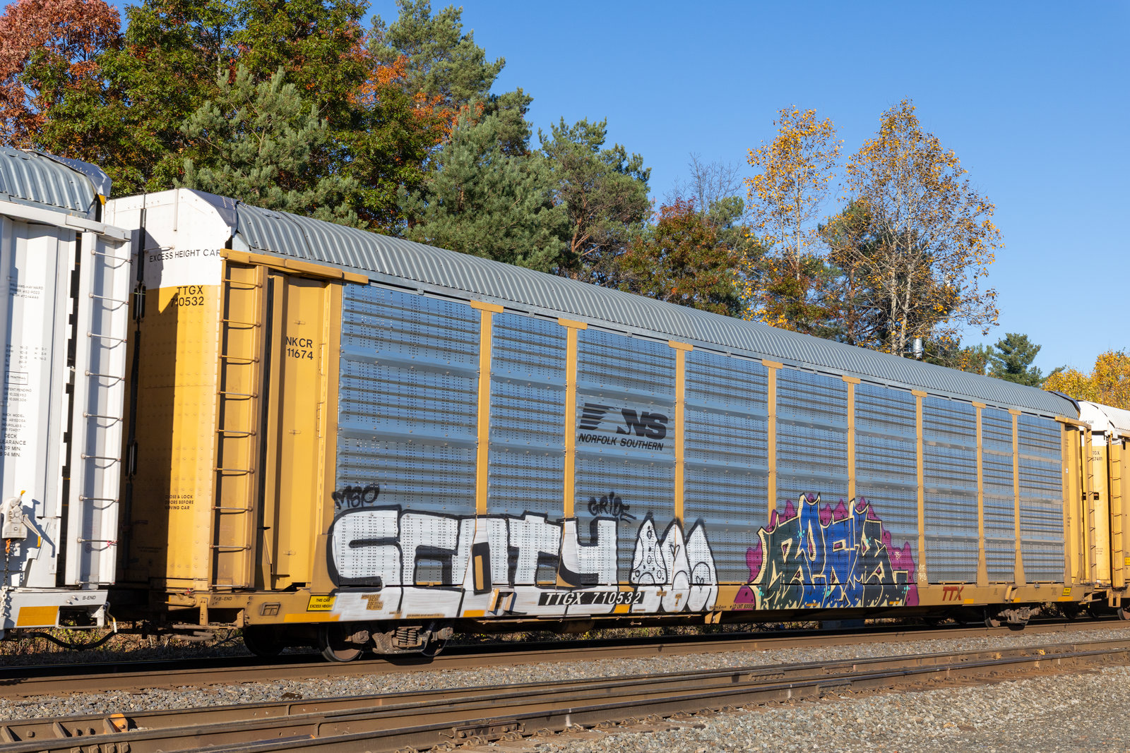 TTGX 710532