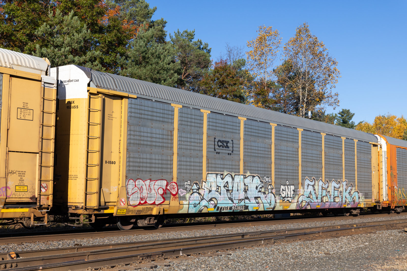 TTGX 953655