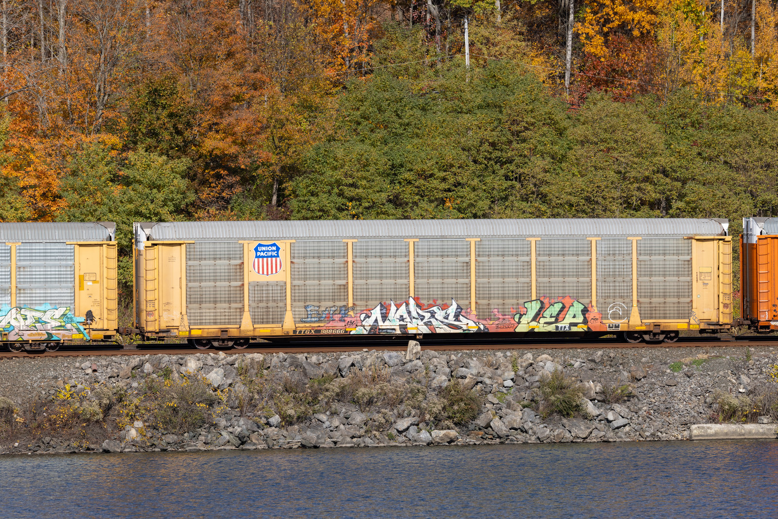 TTGX 988666