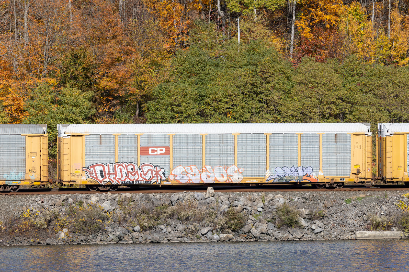 TTGX 988844