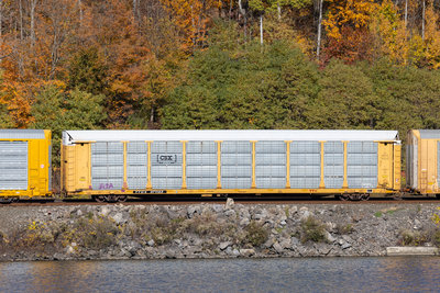 TTGX 971183