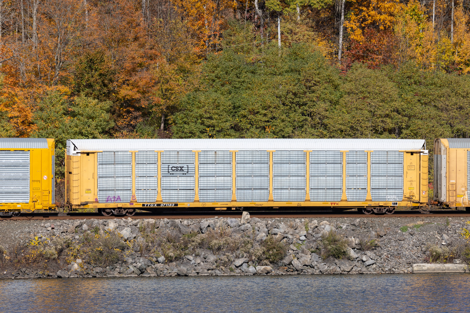 TTGX 971183