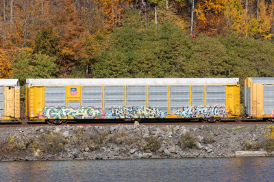 TTGX 982639