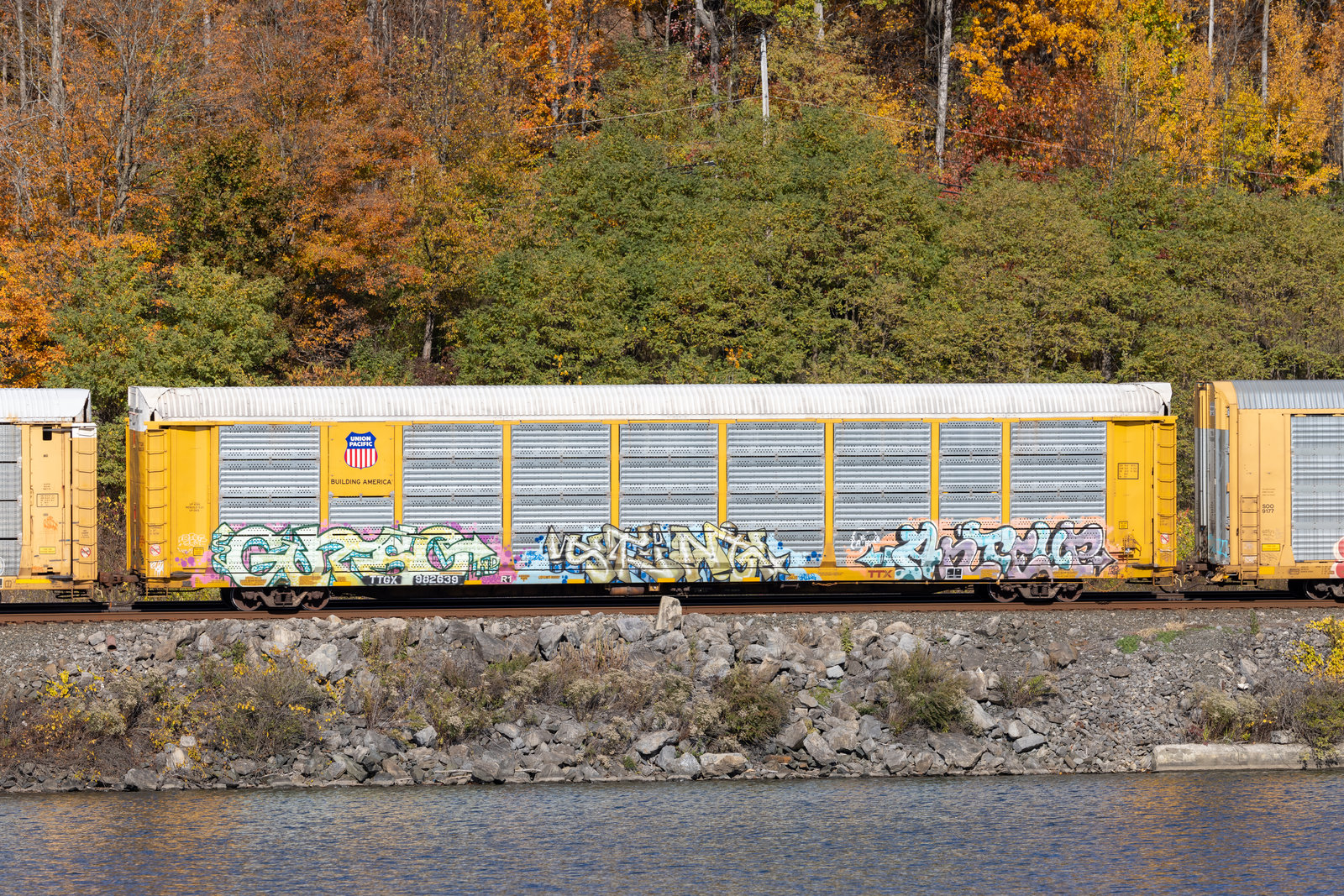TTGX 982639