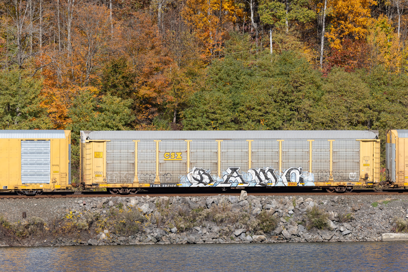 TTGX 992126