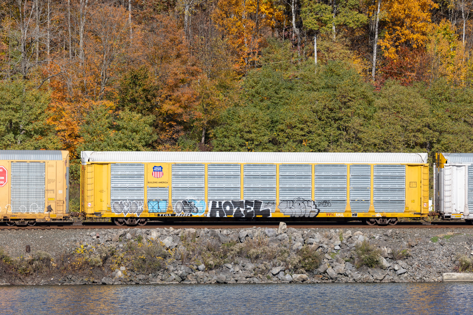 TTGX 982964