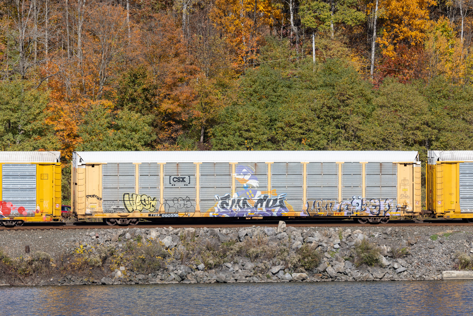 TTGX 990556