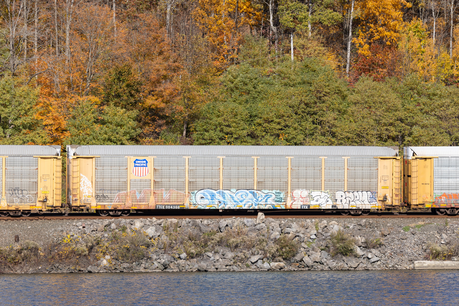 TTGX 994388