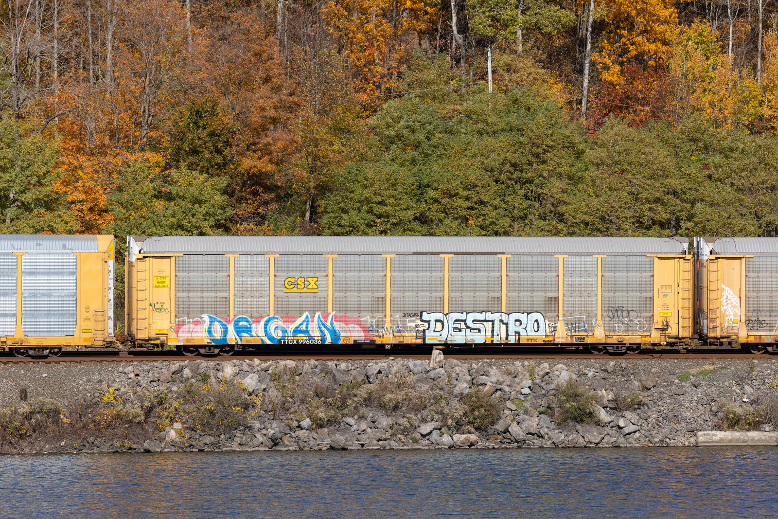 TTGX 996036