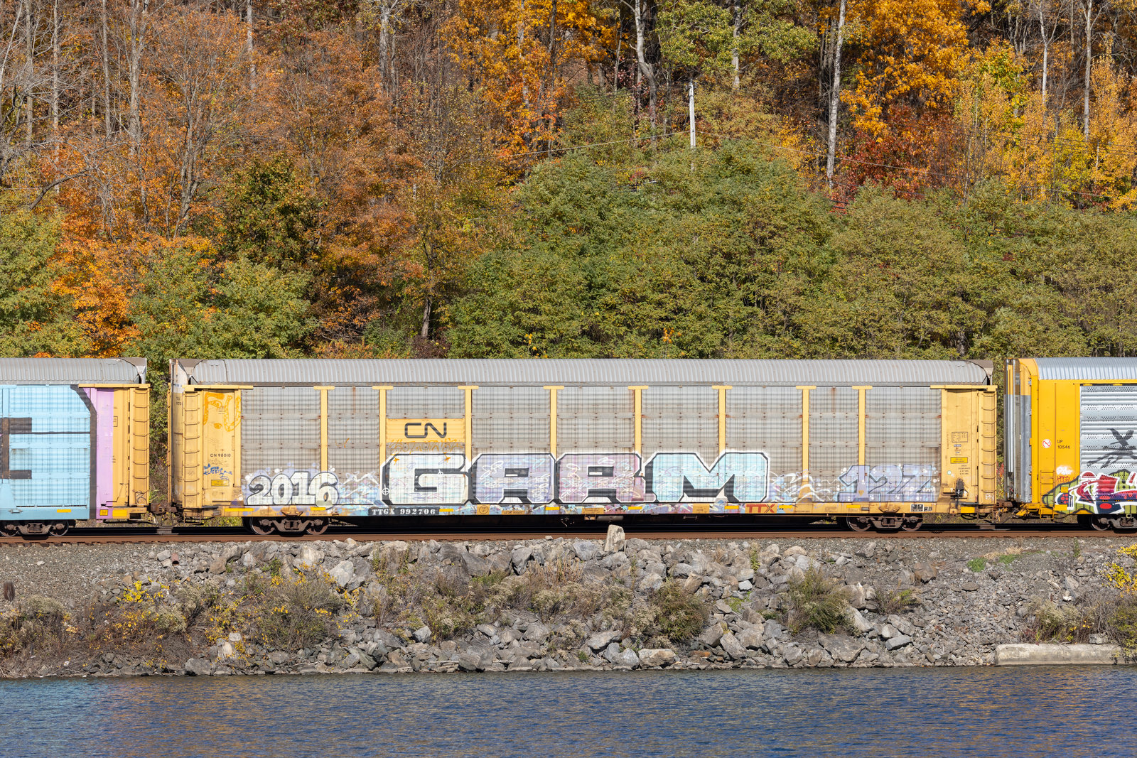 TTGX 992706