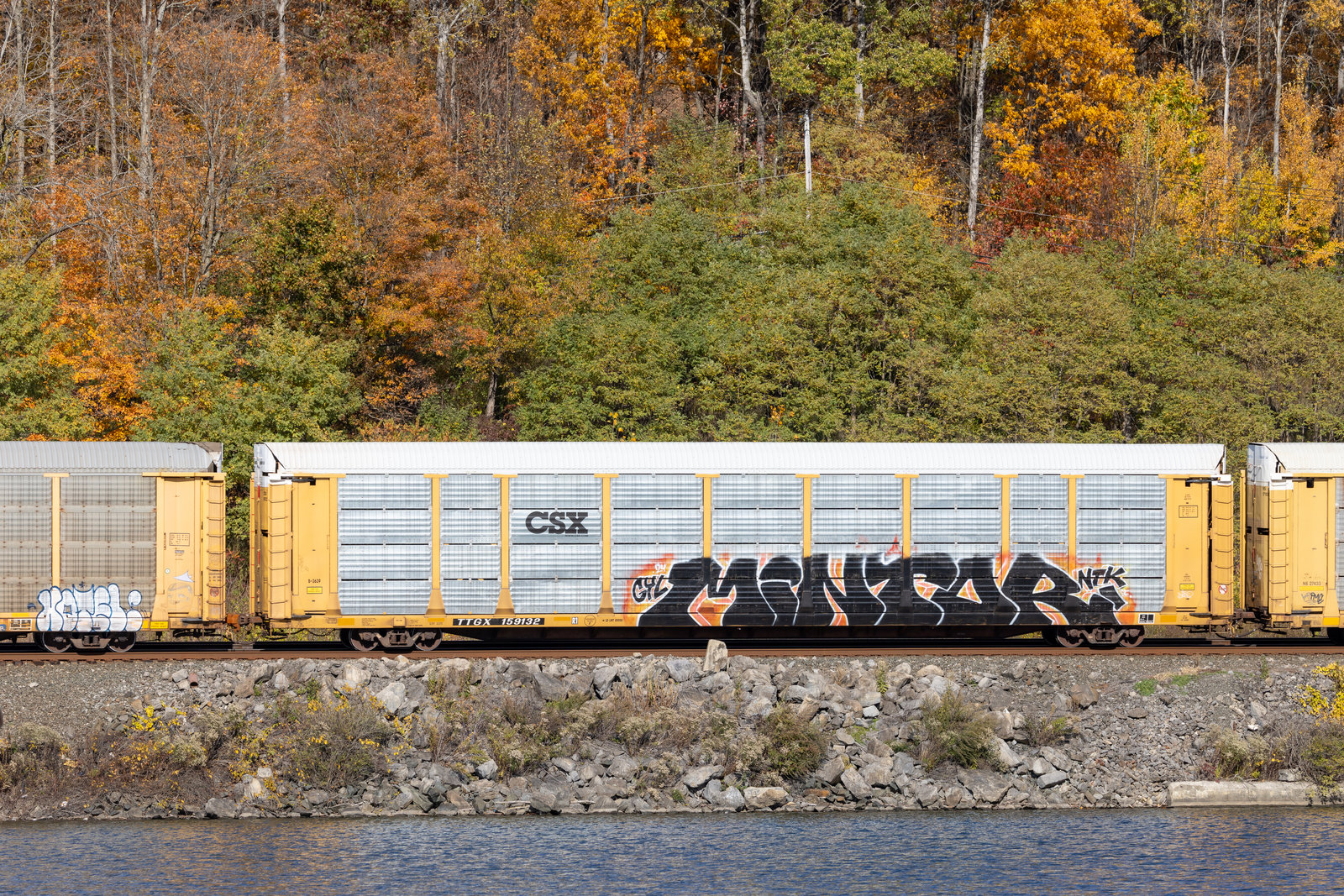 TTGX 159132