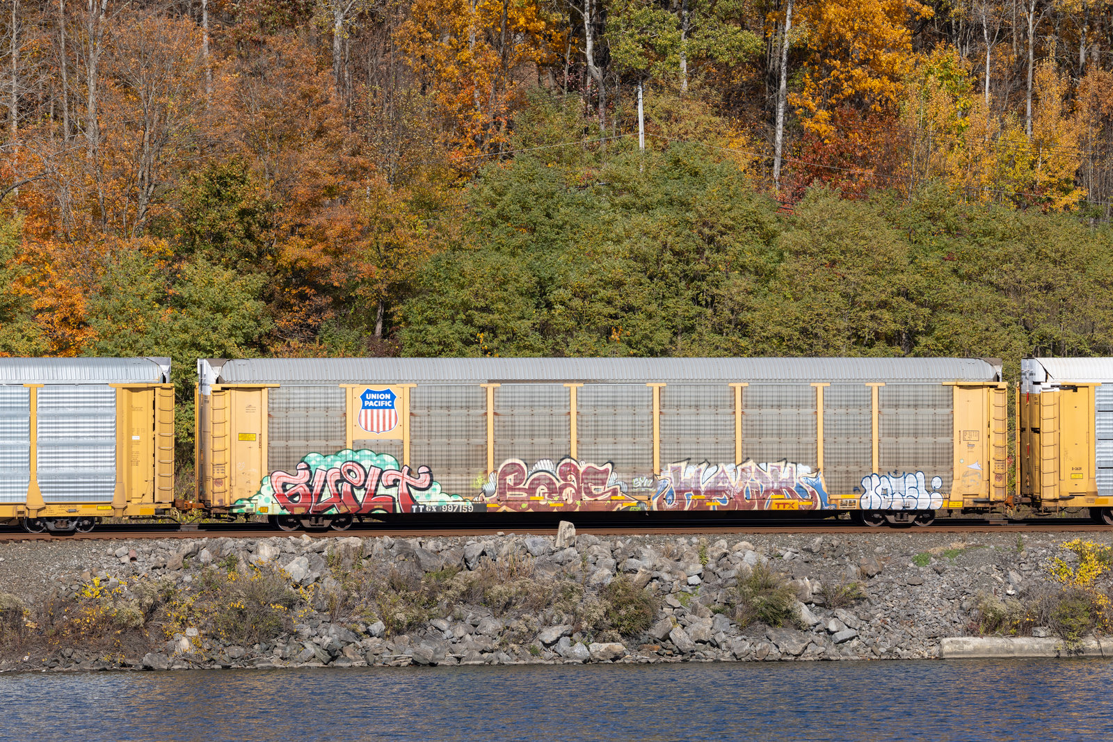 TTGX 997159