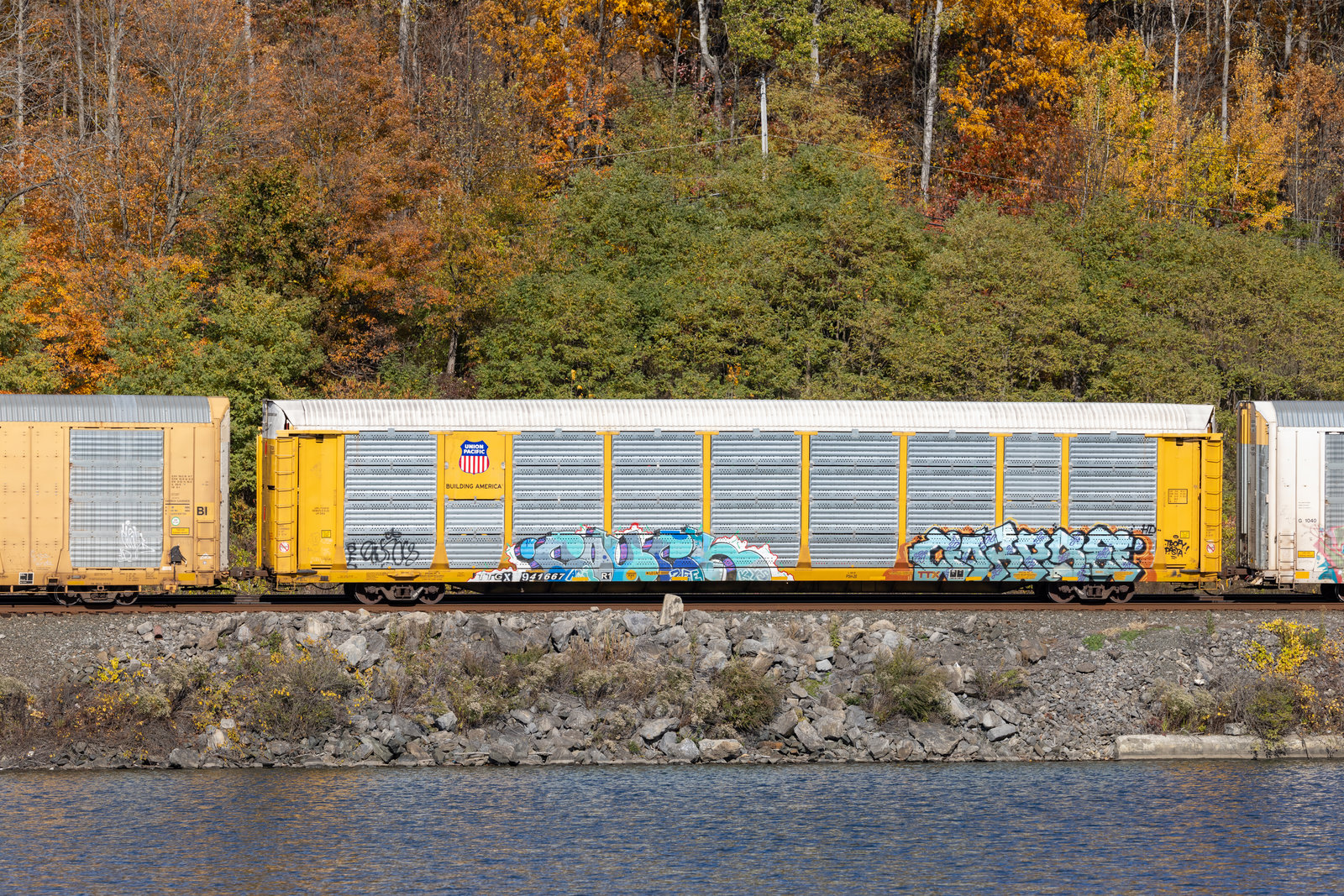 TTGX 941667