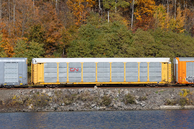 TTGX 980217