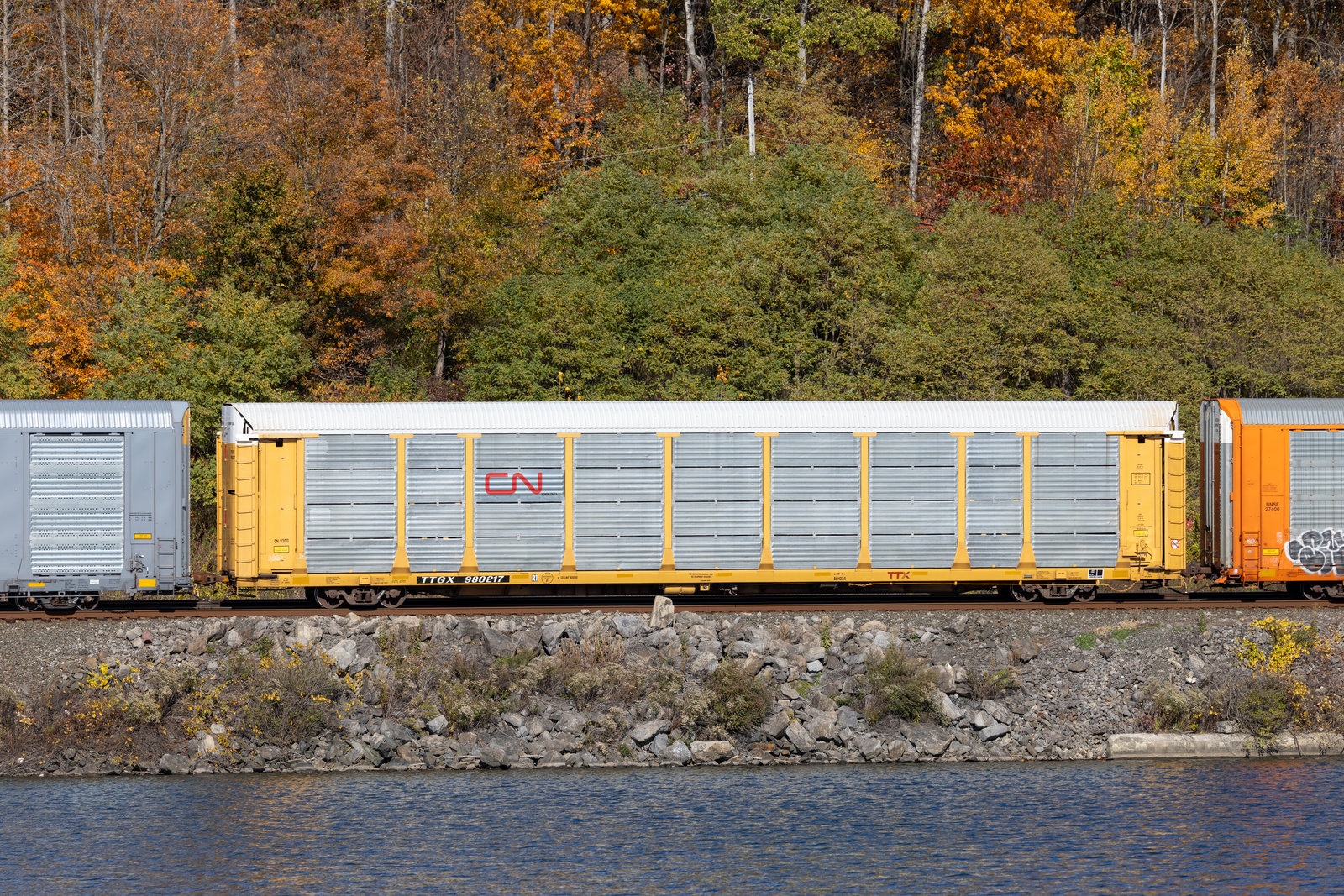 TTGX 980217