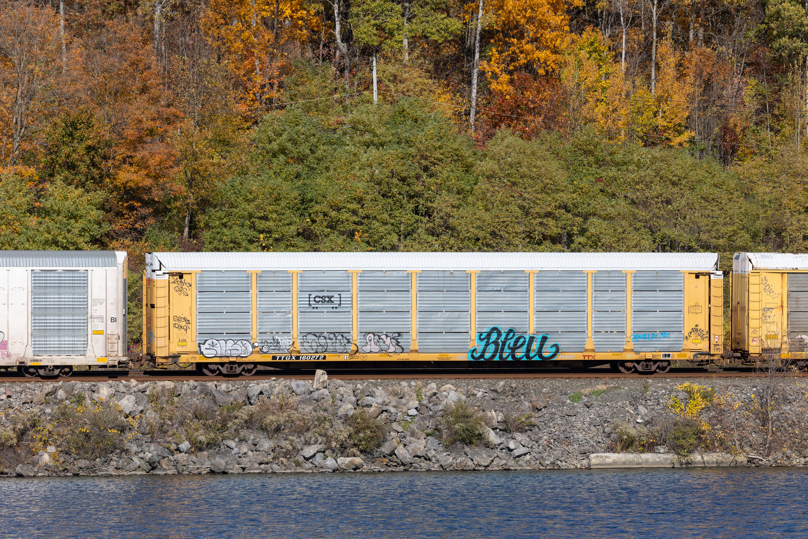 TTGX 160272