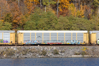 TTGX 981018