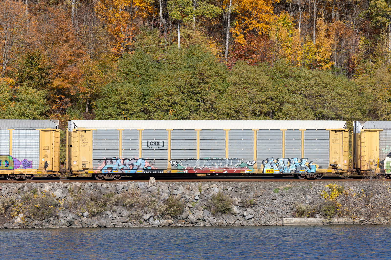 TTGX 981018