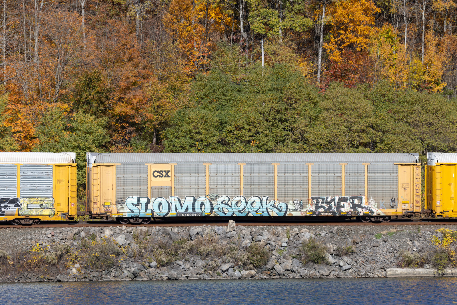 TTGX 995407