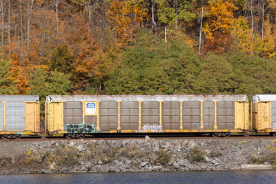 TTGX 160053
